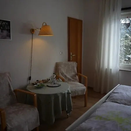 Haus Engel In Hahnenklee Bed & Breakfast