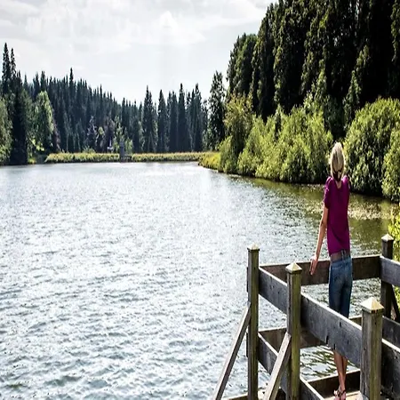 Bed & Breakfast Haus Engel In Hahnenklee 3*