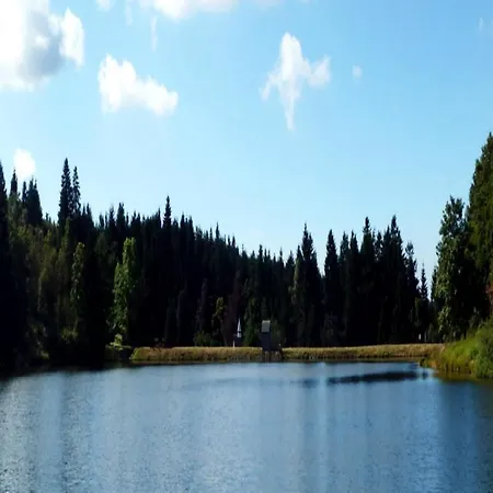 Haus Engel In Hahnenklee Bed & Breakfast Goslar